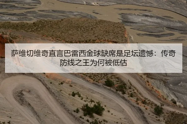 萨维切维奇直言巴雷西金球缺席是足坛遗憾：传奇防线之王为何被低估